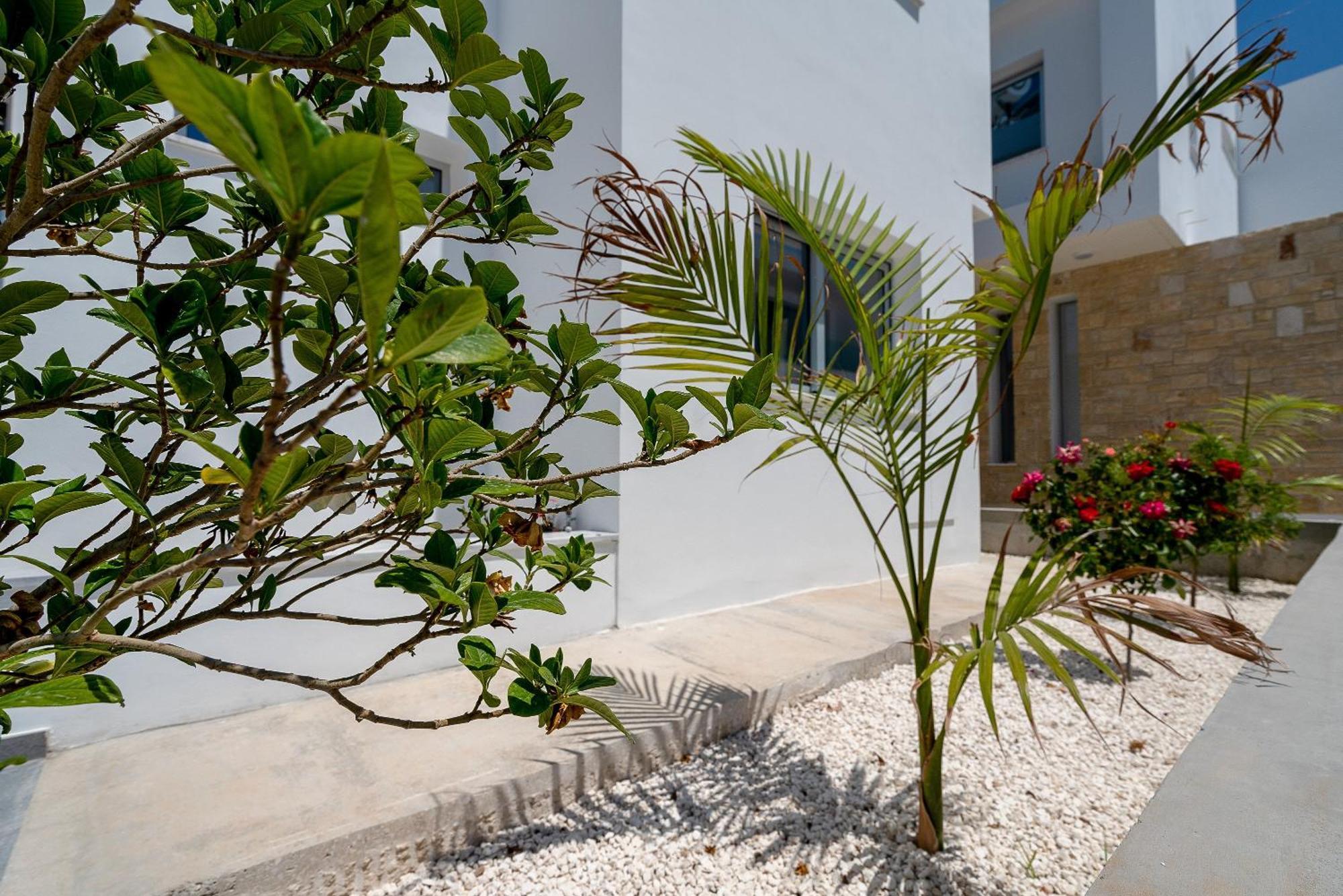 Sea Point Villas Κόλπος των Κοραλλιών Εξωτερικό φωτογραφία